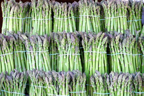 Gray-asparagus Color 