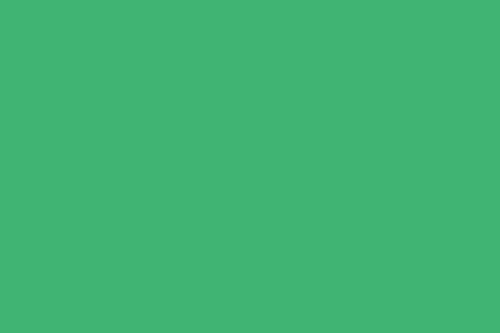 Medium Sea Green Color 