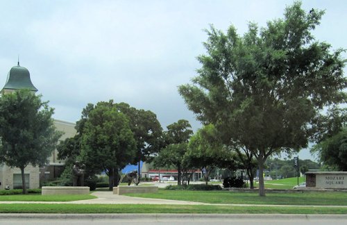 University of North Texas Green