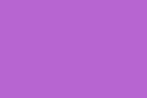 Rich Lilac Color 