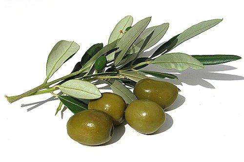 Olive