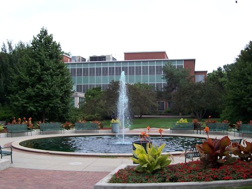 Michigan State University Green