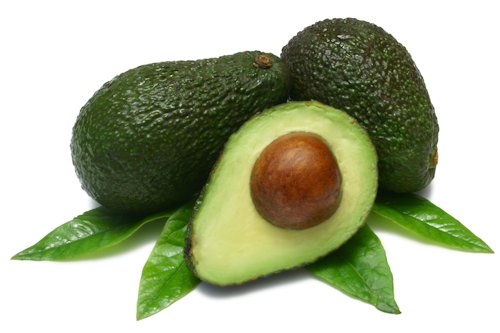 Avocado