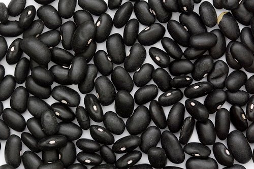 Black Bean