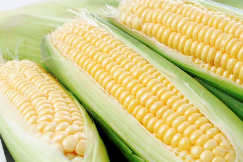 Corn