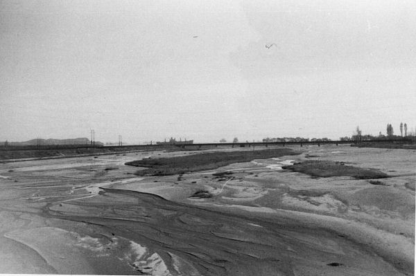 Tidal Flats at Wonson