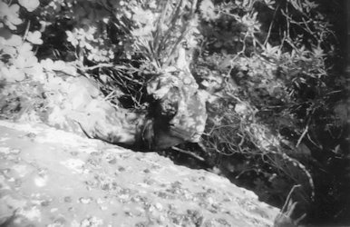 Dead Chinese Soldier on Hill 1157