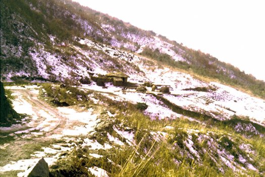 Road Leading up to Beason Site