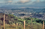 Seoul from Hill 3