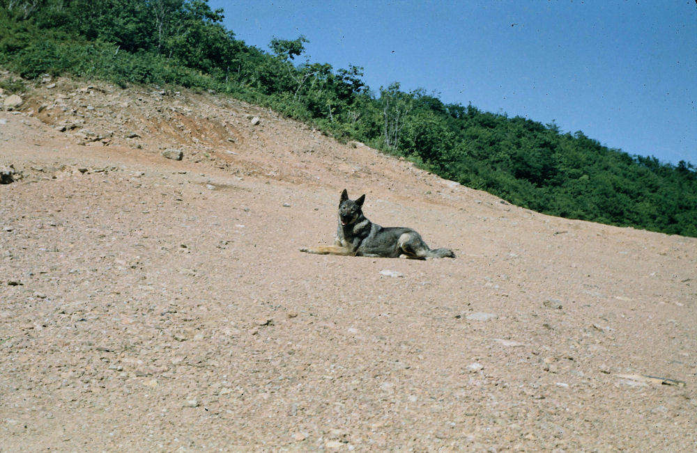 Len Soccio in Yongmun San