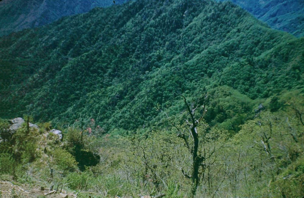 Len Soccio in Yongmun San