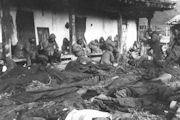 Marine Wounded at Yudam-ni