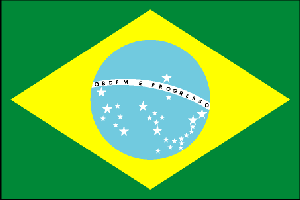 Flag for Brazil