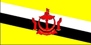  Flag for Brunei