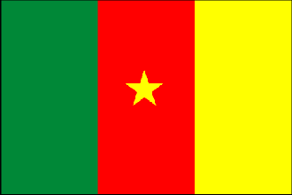  Flag for Cameroon