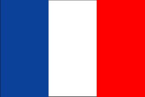  Flag for France