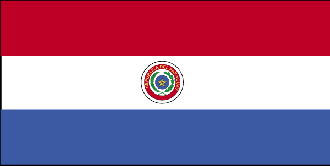  Flag for Paraguay