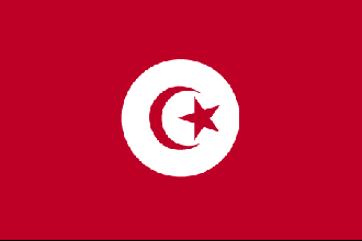  Flag for Tunisia