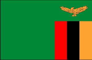  Flag for Zambia