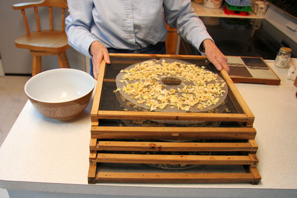 Step 12 -We Process Dried Onions  