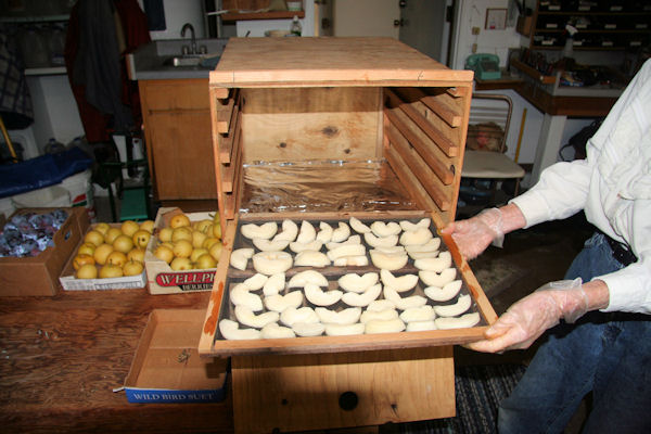 Step 12 - Tray into the Dehydrator 