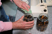 Canning Dried Prunes, Step 15