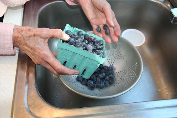 Step 1 - Sort Blueberries