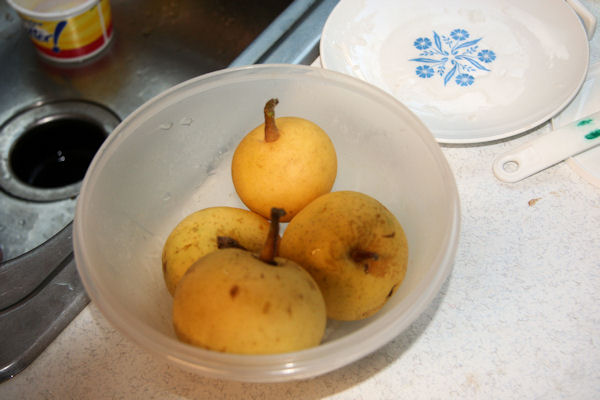 Step 11 - Asian Pears