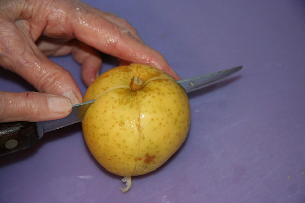 Step 13 - Quarter Pear