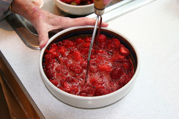 Step 15 -  Strawberries Crushed