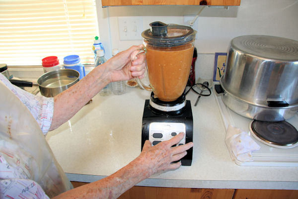 Step 11 -  Liquefy the Peaches