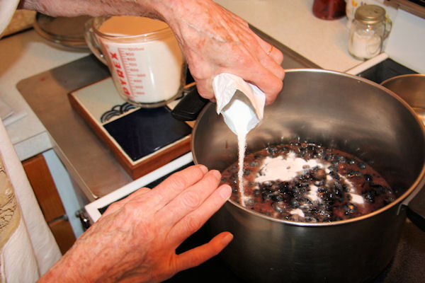 Step 8 -  Add the Pectin