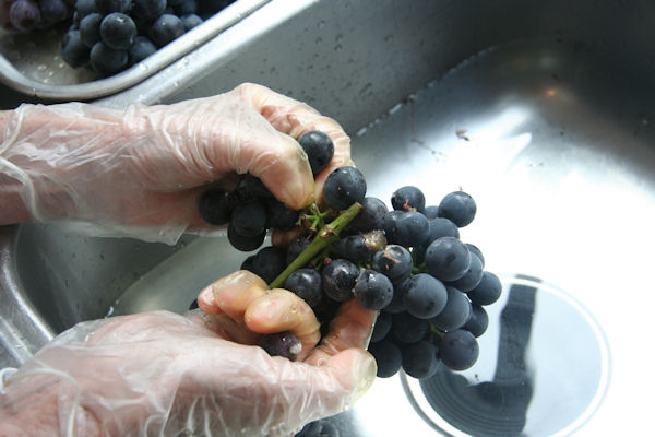 Step 2 - Wash Grapes