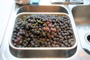 Grape Juice Step 4