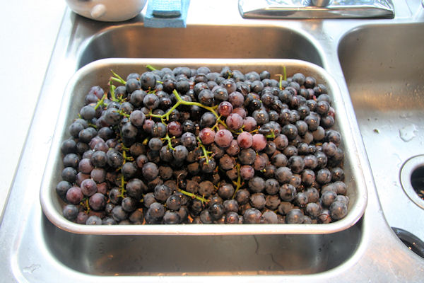 Step 4 - Washed and Cleaned Grapes