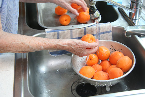 Step 2 - Wash Apricots