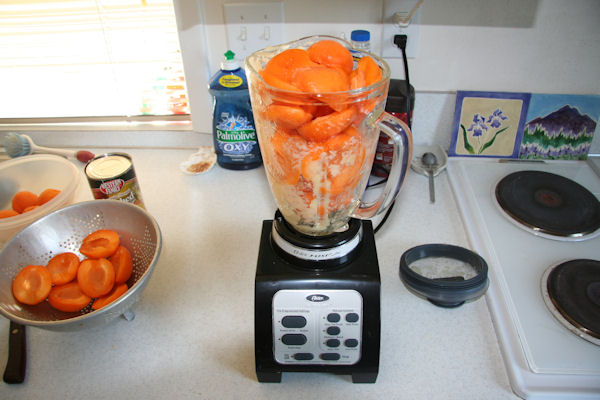Step 10 - Load Blender with Apricot Halves
