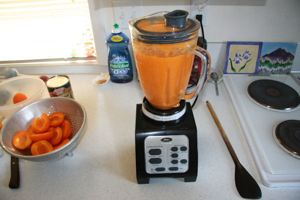 Step 11 - Liquefy the Apricots 