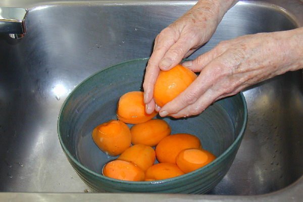 Step Four, Wash Apricots