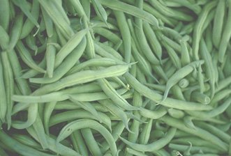 Green Beans