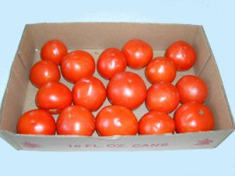 Tomatoes