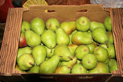 Pears Step 1