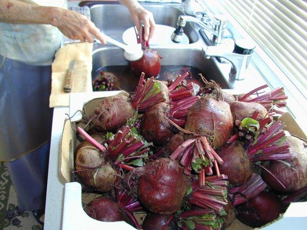 Step Four, Wash Beets