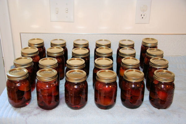 Step 15 - Set Jars to Cool 