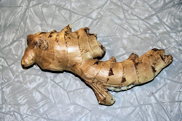 Ginger Root