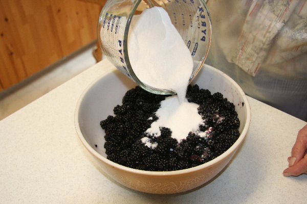 Step 6 - Add Sugar mix to the Berries 