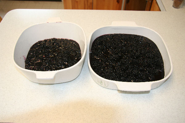 Step 9 - Berries put into Baking Dishes 