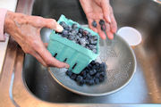 Blueberry Buckle Step 1