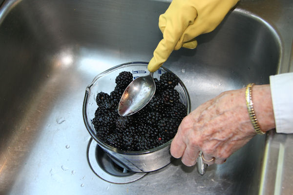 Step 3 - Compress Blackberries