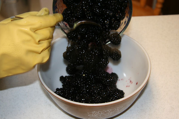 Step 4 - Blackberries into Bowl
